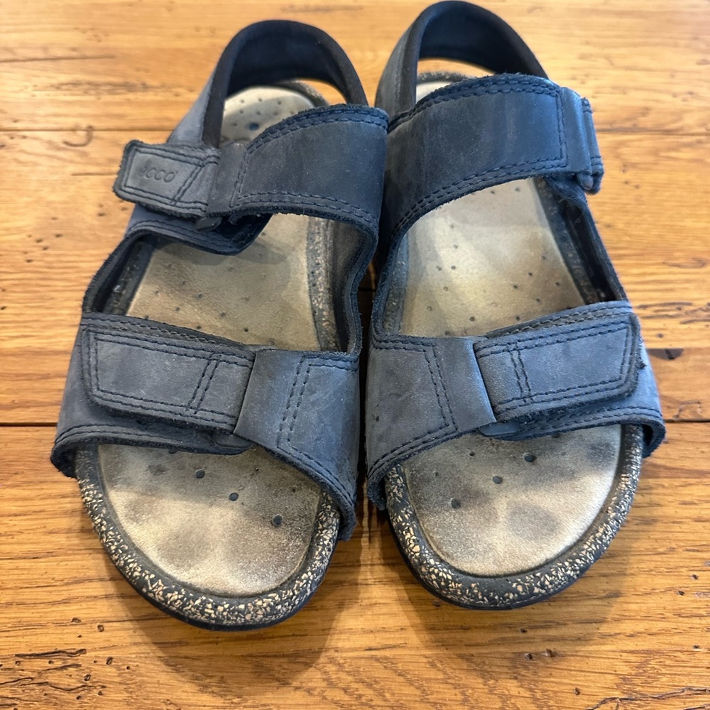Ecco Hiking Sandals